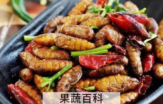 女性吃蚕蛹好处与坏处