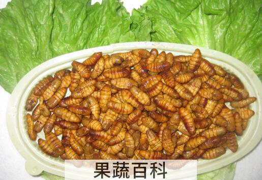 金丝蛹怎么做好吃 金丝蛹的食用方法