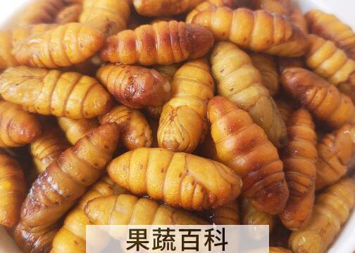金丝蛹怎么做好吃 金丝蛹的食用方法