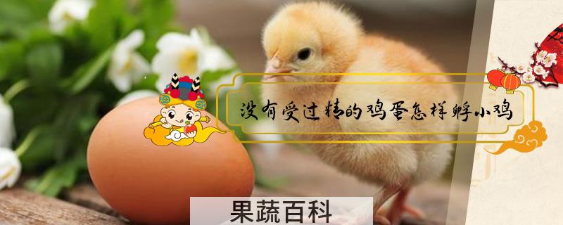 没有受过精的鸡蛋怎样孵小鸡