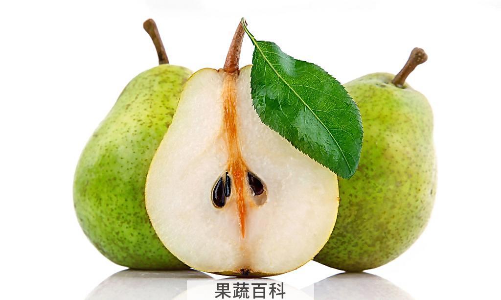 梨子的功效与作用 看百果之宗神奇功效