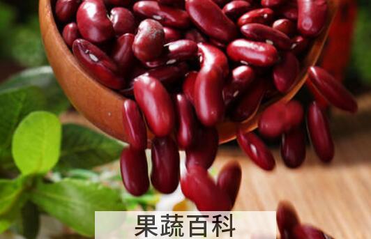 红芸豆不适合什么人吃 吃红芸豆的副作用
