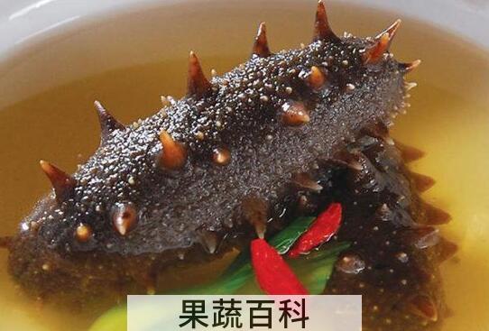 海参怎么样吃好 海参的正确吃法