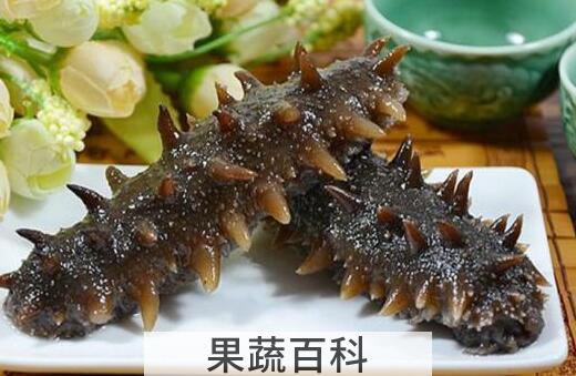 海参怎么样吃好 海参的正确吃法