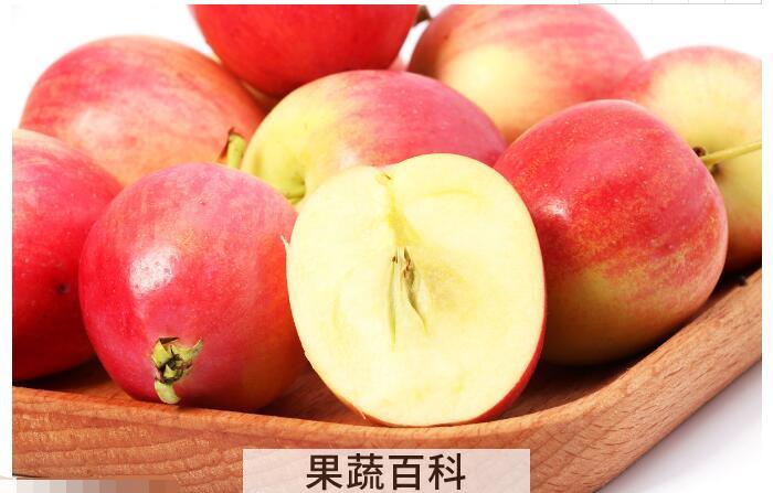 海棠的功效与作用，这五大功效你知道几个？