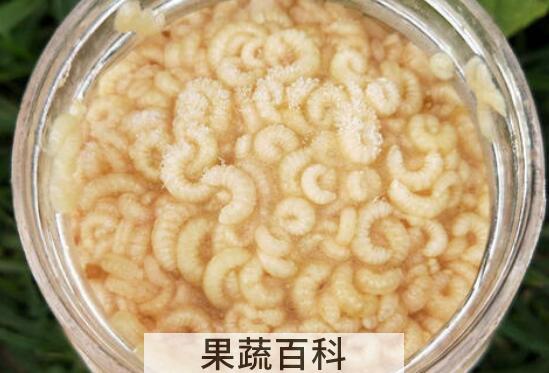 女性经常吃蜂王胎的害处
