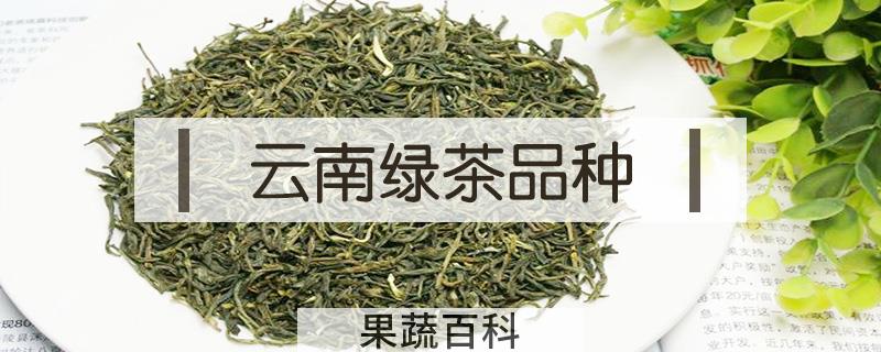 云南绿茶品种