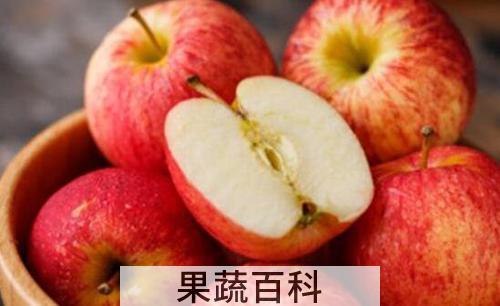 苹果减肥的正确方法 苹果怎么吃减肥