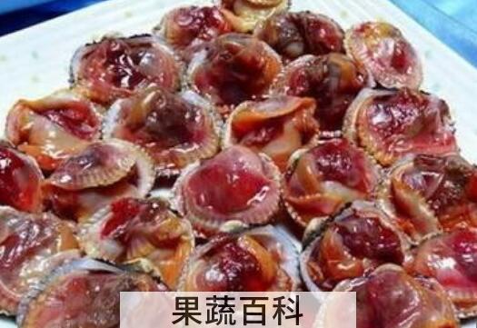 血蛤怎么做好吃 血蛤的做法大全