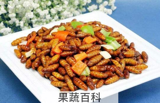 金丝蛹的功效与作用 金丝蛹的食用禁忌