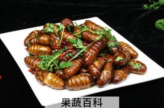 金丝蛹的功效与作用 金丝蛹的食用禁忌
