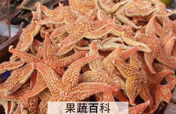 海星的功效与作用 海星的食用方法