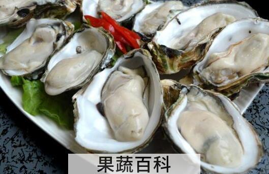 牡蛎和生蚝的区别