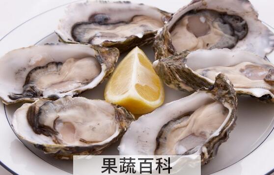 海蛎子和生蚝的区别