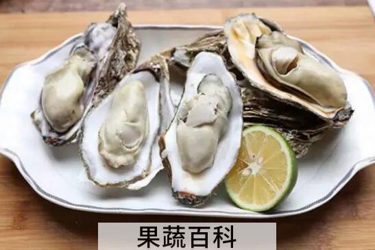 海蛎子和生蚝的区别