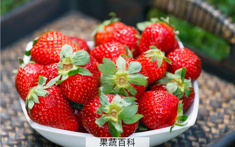 吃草莓的季节是几月份 正常是5月份左右（有大棚过年就能吃）