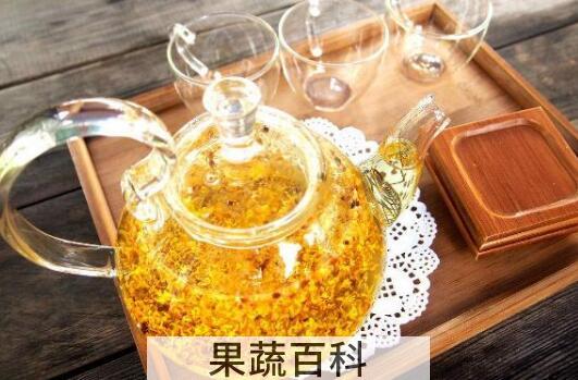 桂花茶的功效与作用 喝桂花茶的好处