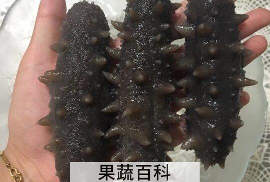 干海参怎么保存 干海参的正确保存方法