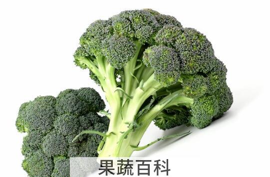 含硒高的食物有哪些 什么食物含硒多