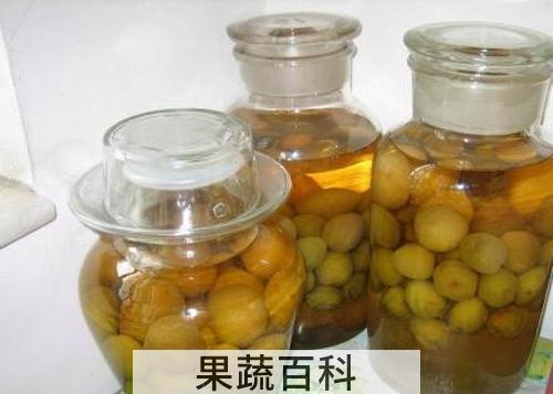 酸梅酒的功效与作用 喝酸梅酒的药用价值