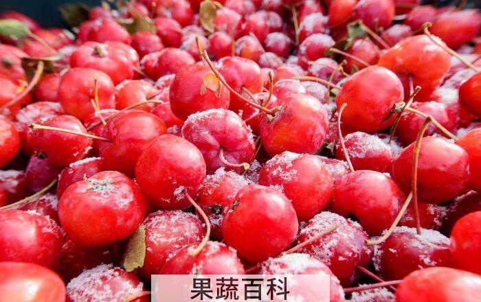 花红的功效与作用，花红四种功效有益人体健康