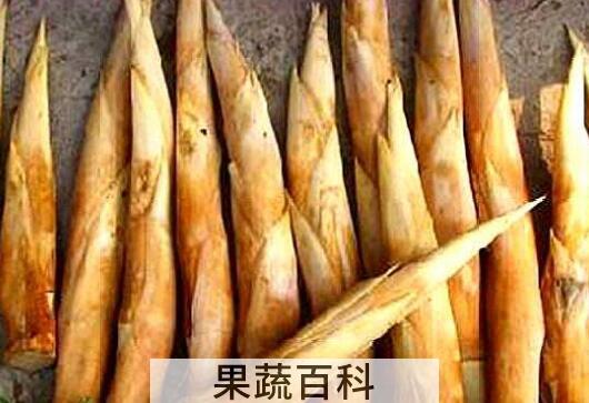 服用鞭笋时的注意事项有哪些