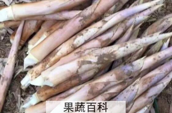 服用鞭笋时的注意事项有哪些