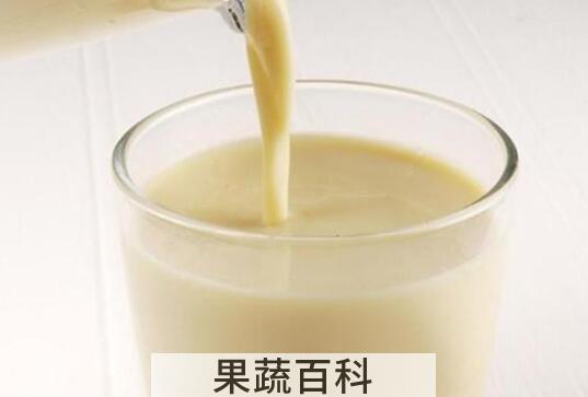 天天喝豆浆好吗 喝豆浆的好处有哪些