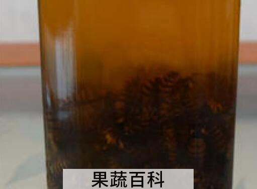 地龙蜂酒的功效与作用