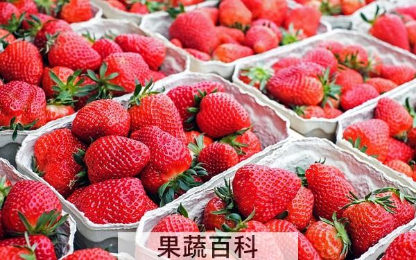 草莓的功效与作用禁忌 降血脂助消化（肾不好的要少吃）