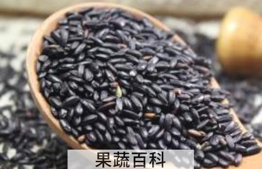 紫米和紫糯米的功效与作用