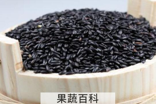 紫糯米和血糯米的区别 吃紫糯米的好处