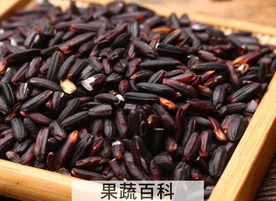 紫糯米和血糯米的区别 吃紫糯米的好处
