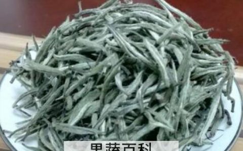 大白茶和大白毫的区别