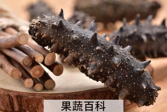 怎样发干海参最好 泡发好的海参怎么保存