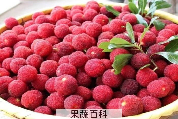 杨梅的功效与作用，男女老少皆喜爱