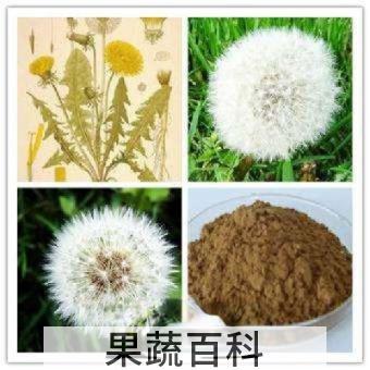 蒲公英蜜粉
