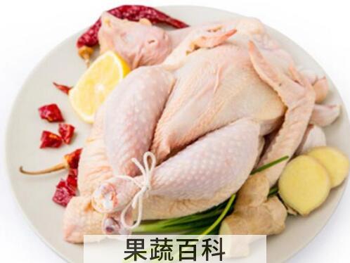 三黄鸡的功用及禁忌人群