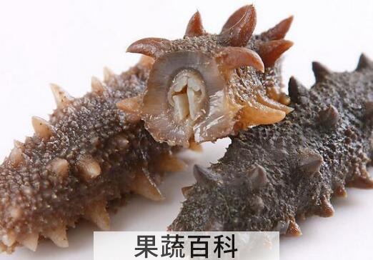 海参和什么不能一起吃 海参与什么食物相克