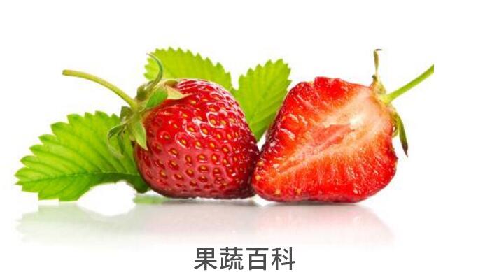 夏季去火的水果有哪些？常吃这十二种去火解毒身体棒棒哒