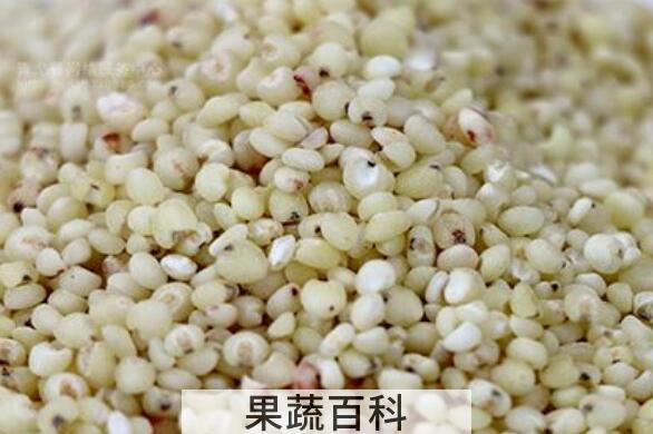 秫米与高粱米的区别 吃秫米的好处