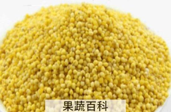 秫米与高粱米的区别 吃秫米的好处