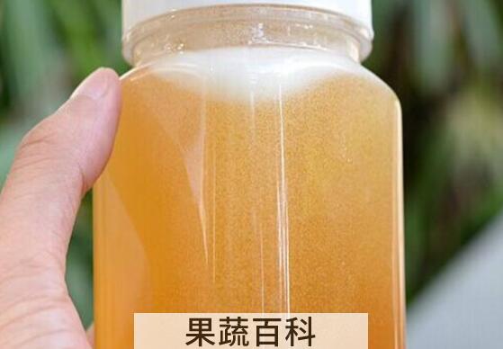 丹参蜜的功效与作用及禁忌