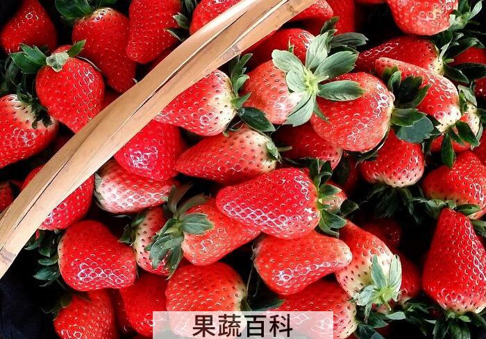 草莓吃多了会怎么样？吃草莓的时候这些细节不容忽视