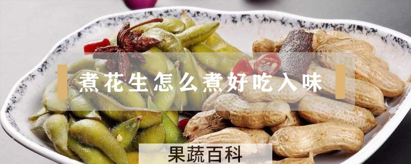 煮花生怎么煮好吃入味