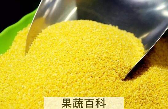 糜子面和小米面的区别 糜子面的吃法