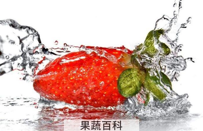 草莓不洗可以吃吗？切记草莓不洗千万别乱吃
