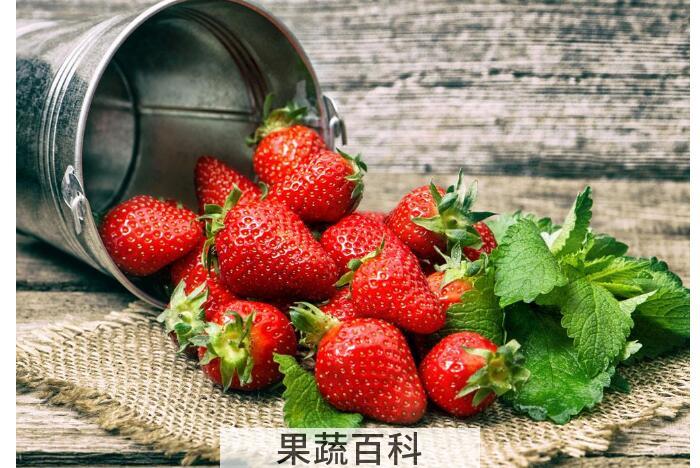 草莓不洗可以吃吗？切记草莓不洗千万别乱吃