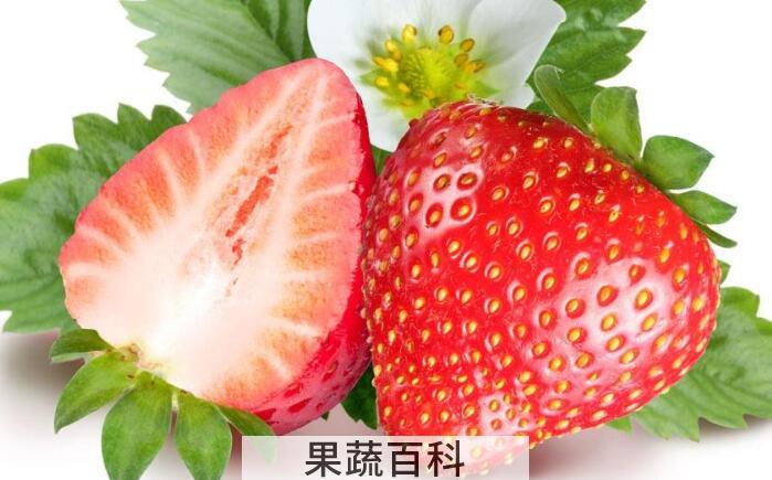 草莓不洗可以吃吗？切记草莓不洗千万别乱吃