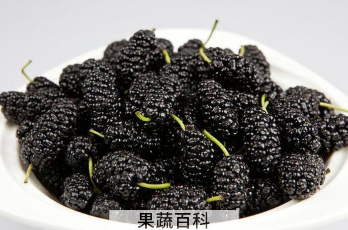 桑葚的功效与作用，爱吃桑葚的朋友看过来啦